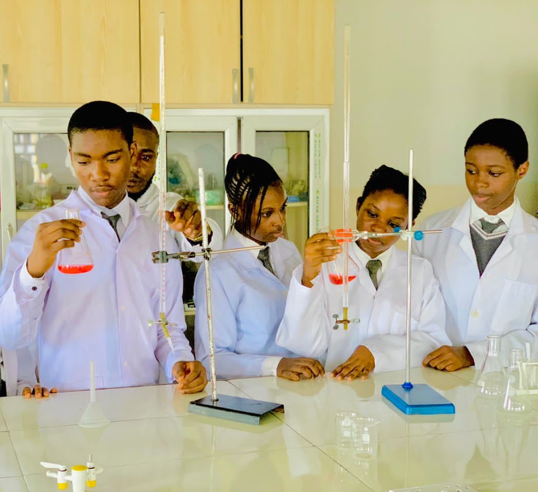 DMERT Excellence School Practical Labs